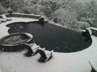 Custom Residential Pool #008 by Pools by Murphy